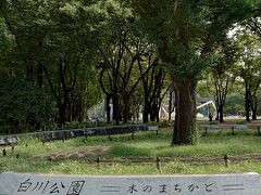 白川公園横目に若宮大通りを走ります。