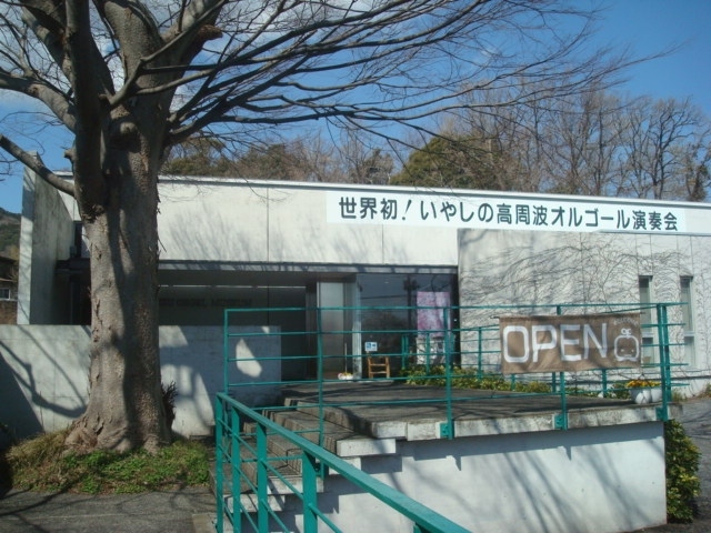 伊豆高原駅周辺を徒歩で散策 大寒桜 オルゴール館 八幡宮来宮神社 伊豆高原 静岡県 の旅行記 ブログ By こりんごさん フォートラベル 伊豆高原駅周辺を徒歩で散策 大寒桜 オルゴール館 八幡宮来宮神社 伊豆高原 静岡県 の旅行記 ブログ By こりんごさん フォートラベル