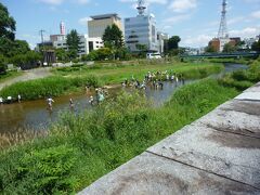 中津川では、生態系観察イベントがありました。
綺麗な水でした。