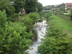 古八幡社から野川沿いに歩きました。草が生えている野川は子供のころ遊んだ川のようで懐かしく感じました。