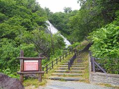 今度は「オシンコシンの滝」に寄り道。道路沿いに駐車場があって、そこからあんまり歩かずに見ることができます。道路からでも見られる距離ですから！

「日本の滝100選」に選ばれているそうですよ。