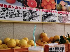 前回同様に空いている特急南紀で、紀伊勝浦駅に到着。
駅から勝浦観光桟橋に向かい、4月と同じ中西商店でみかんジュースを購入。
デコポンからカラーオレンジになっていた搾りたてジュースは、濃厚で甘い！
