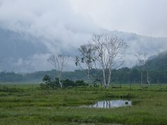 あちらこちらに靄（もや）がかかって幻想の世界