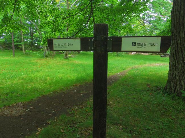 朝。休暇村内の森で野鳥観察のガイドツアーが７：００～８：００にあります。前日フロントで行われるか聞くとコロナの影響で参加人数を制限していて、もう申込人数に達しています、って。残念。<br />7時前に、一人で回ってみました。<br />ここを左に行くと野鳥の森。