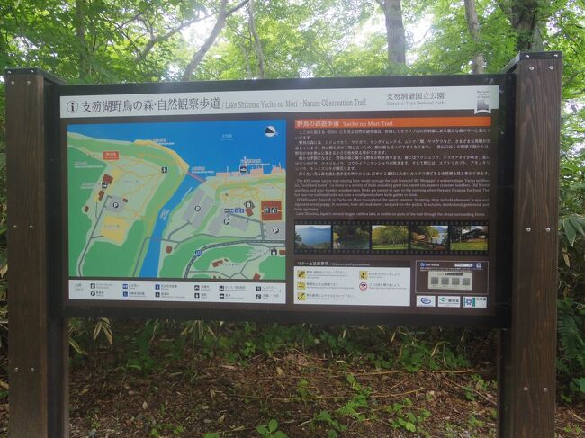 川の左側が休暇村。<br /><br />途中の野鳥観測所で、大きなレンズがついたカメラを持っている人がいました。