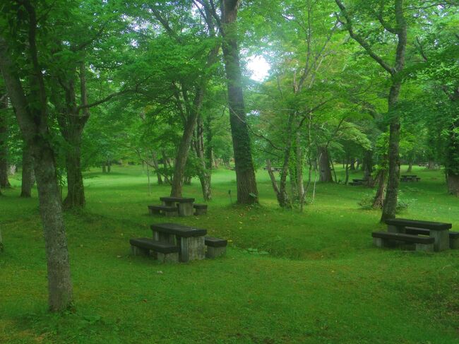 お弁当を広げられる休憩スペースが、たくさんあります。