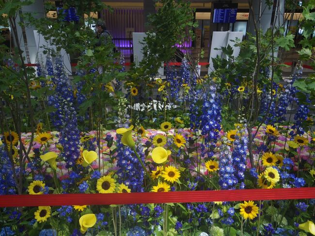 新千歳空港の中央、北海道で栽培されているお花
