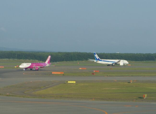 でも、エアコンの利いた部屋に座って滑走路が見れるのは楽しい。