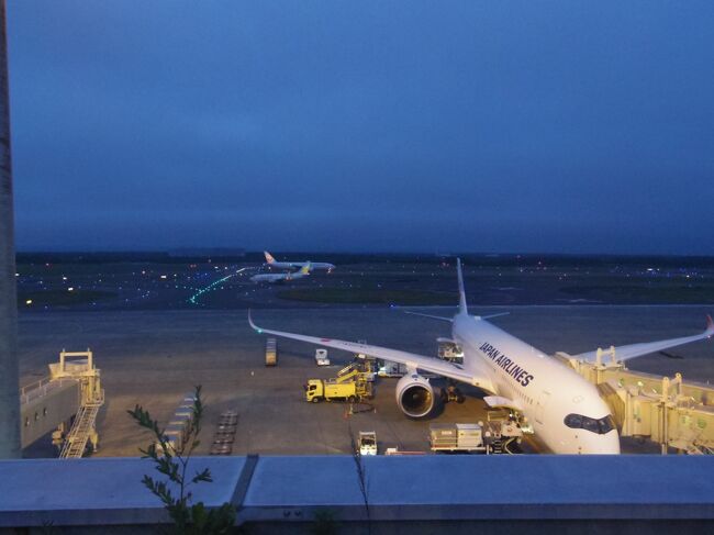 また展望デッキに行ってみました。