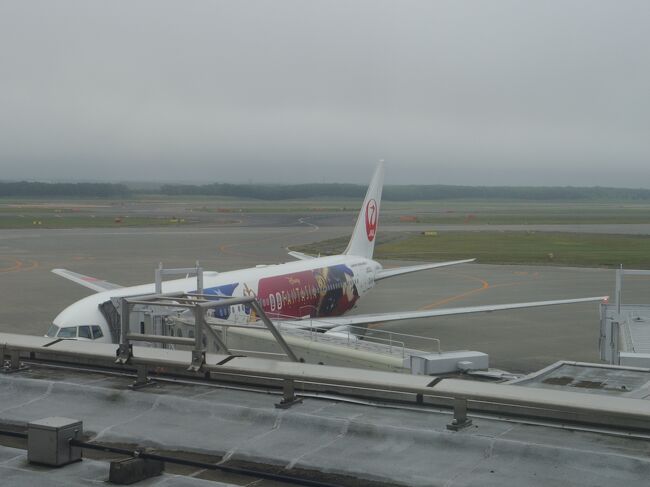 翌朝、ホテルの部屋の窓から。<br />昨夜遅く到着したディズニーファンタジア機。<br />朝一番の着陸機は７：３０。私は８：００発に搭乗。つまり夜駐機している飛行機に搭乗するに違いありません。他に数機停まっているJALは小型。羽田行が小型機のはずはない。<br />つまり、この飛行機に乗る公算が高い！