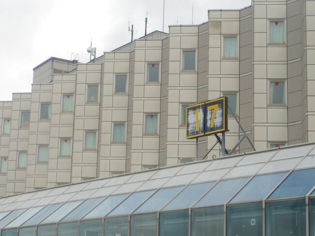 搭乗中に、ホテルの外観を撮影。<br />滑走路側の窓は皆同じなんですね。