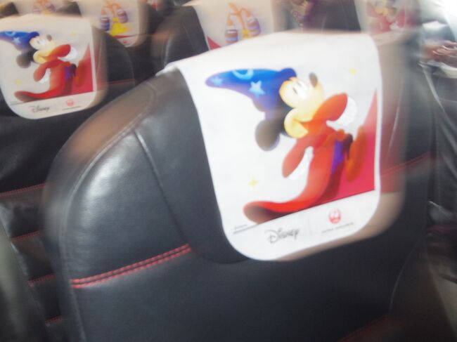 搭乗時に焦って撮影したためぼけています。