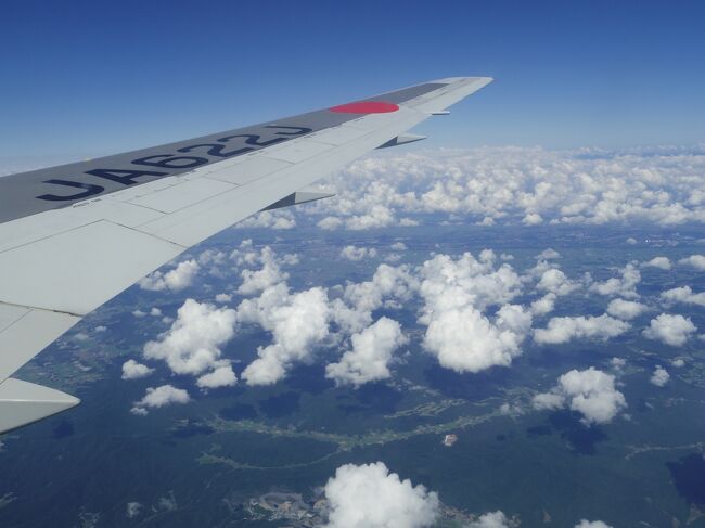 モコモコした積乱雲が、樹氷（モンスター）のようです。<br />