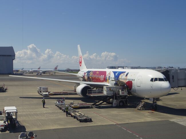 降機しました。<br /><br />この旅行は飛行機代がタダだったので、ゆっくりした日程で実質4泊2日（笑）の旅となりました。<br /><br />完<br />