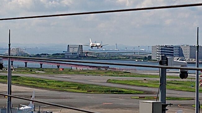 着陸します。<br />出発時、羽田に向かえに来る夫にディズニーファンタジア機だと伝えてあるので、実際に私の搭乗している機体を撮影してくれました。