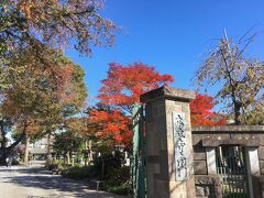 以前、八王子の七福神巡りで、毘沙門天を祀るこちらのお寺まで伺いました。
前回は1月でしたが、今回は11月で、境内の紅葉が鮮やかでした。
