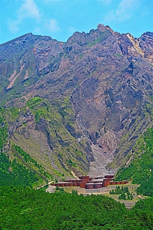 森伊蔵、8月当選分、鹿児島、桜島の麓から 焼酎 - 焼酎