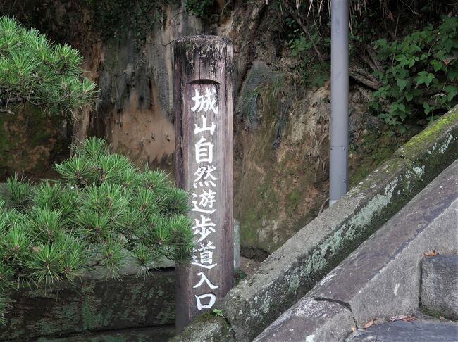 鹿児島12 城 山 (標高108m）城山自然遊歩道-城山展望台へ ☆天然