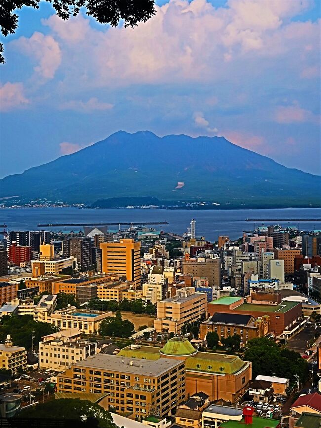 鹿児島12 城 山 (標高108m）城山自然遊歩道-城山展望台へ ☆天然記念物の森は豊かな自然』鹿児島市(鹿児島県)の旅行記・ブログ by  マキタン２さん【フォートラベル】