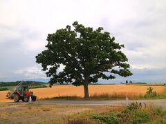 ぜるぶの丘から車で約５分のところにあるセブンセブンスターの木
トラクターが通りかかった。