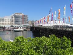 ダーリングハーバーを跨ぐピアモント橋。
欄干の幟旗がカラフルで見ているとなんかワクワクして来ちゃうんだよね♪