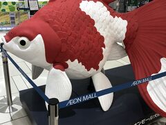 金魚などが有名です