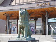 「秋田犬の里」の正面には、大館駅の前から移設した
「忠犬ハチ公」の像があります。
東急の「青ガエル」は、ハチ公繋がりだったんですね。
