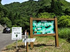 セラピーロード