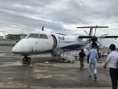 飛行機チケットは特典利用
海外旅行が出来ない今、マイルの使用期限も切れそうだったので思い切って特典利用で旅行することにしました

双発機に乗るのは久しぶり
ここから秋田空港まで1時間半
伊丹発８：２０なので、朝は５時起き
眠いです