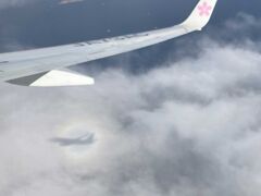 飛行機での移動