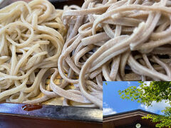 今年一番美味しかったお蕎麦。
蕎麦和太奈部。

現在は4組のお客さんしか入れず、ものすごくしっかりと感染対策していました。
メニューが壁に貼ってあるのがいいなと個人的に感じました。