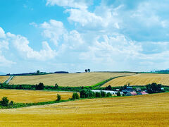 パッチワークの丘に来ました！
セブンスターの木やCMでお馴染みの風景がそこココに。

丘の上の木は『親子の木』なんですって！