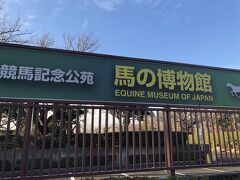 一旦徒歩でJR根岸駅へ戻ってから市バスで根岸森林公園へ。

公園に隣接してある、根岸競馬記念公苑・馬の博物館を見学しました。

なぜここに馬の博物館があるかというと、明治時代に日本初の競馬場が造られて１９４２年まで使われていたからなんですね。