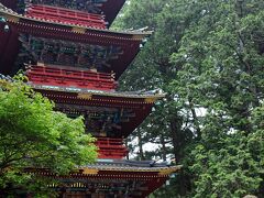 鳥居を潜ると、その先左手には紅色が艶やかな五重塔が建つ。
内部を公開していたが、別料金だというので止めた。
さらに驚いたことに、東照宮の拝観料は1300円もした。
水族館の入館料並みで、寺院の拝観料とは思えない高さだ。