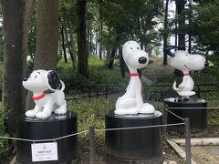 スヌーピー・ミュージアムのすぐ裏（隣？）にある鶴間公園のスタチューも見に来た！