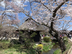 水車小屋と小川と桜、絵になりますよね。