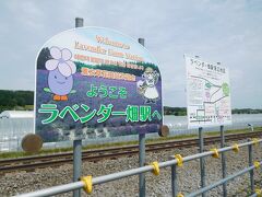 ファーム富田の最寄り駅、ラベンダー畑駅に到着しました。
臨時駅で、この日はお休み。ラベンダー畑のピークシーズンだけ営業します。