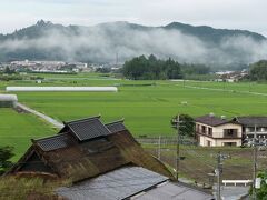 ゆとり庵の目の前に広がる田園風景
稲穂の緑が美しい