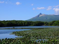 大沼には多くの観光客がいたが、小沼は熊が出そうなほど静かだった。
広々とした景色を独り占めである。
小沼から見る駒ケ岳の雄姿もなかなか美しい。