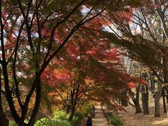 車で1時間。
30キロほど走って上田城址公園。
ここにはそれなりに紅葉が残っている。