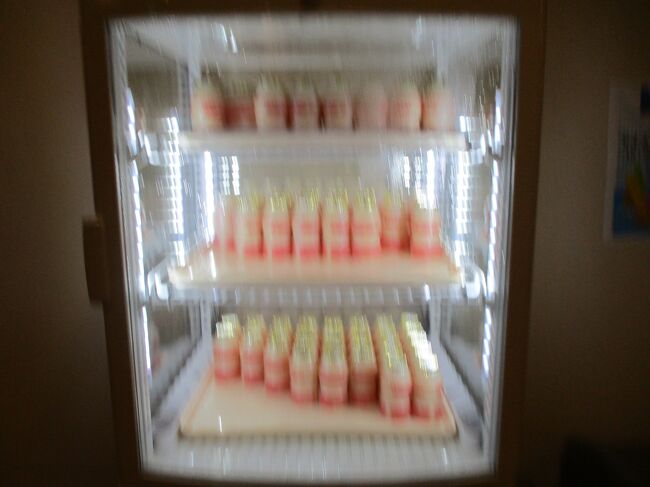 翌朝のサービスの乳酸菌飲料。