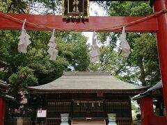 周囲より高くなっている氷川神社です。

緑の樹々に囲まれた静かな場所です。