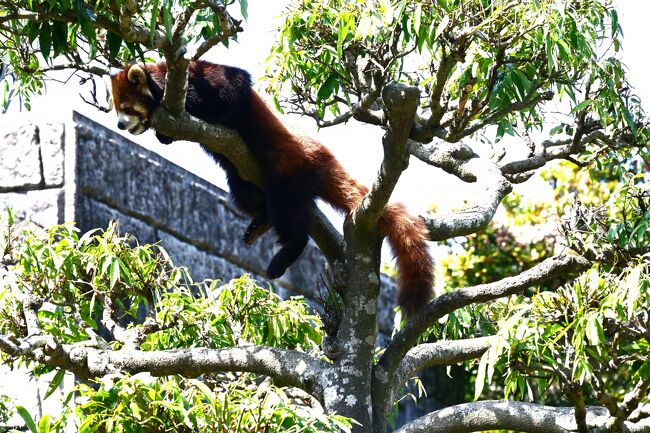 お気に入りの場所で足ブラ~ン。