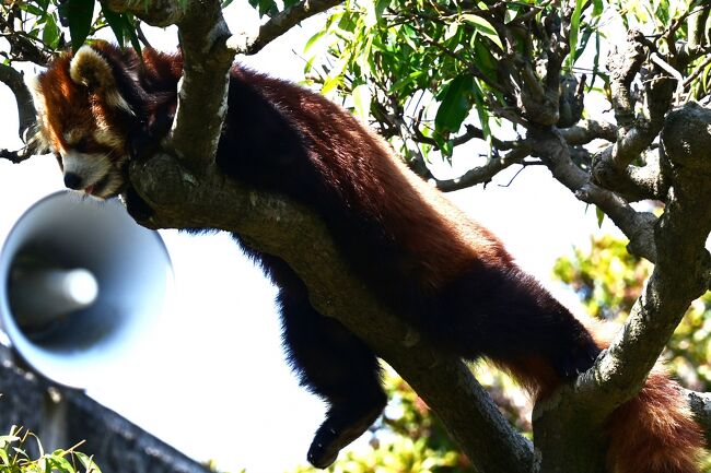 「なにたべとるんじゃろう？」