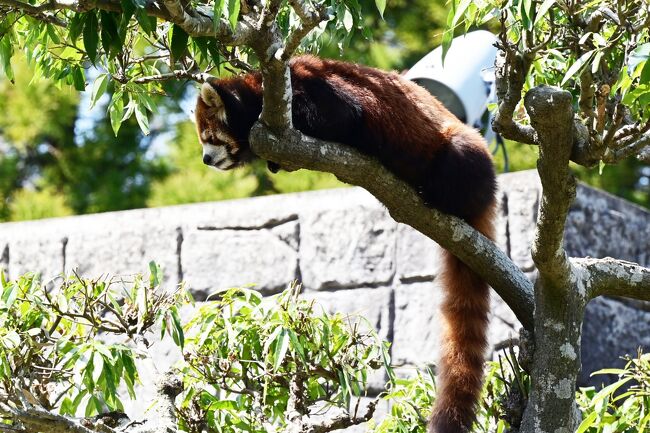 「びっくりさすなよ」
