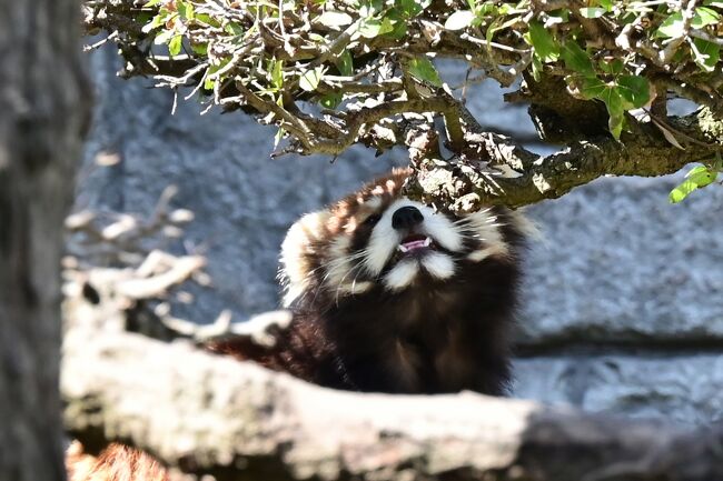 「なんかゆうたか？」