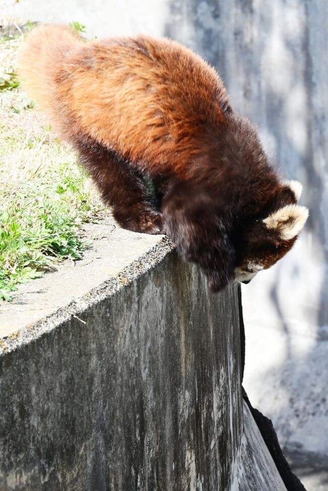 オイ止めろ、降りる気か！