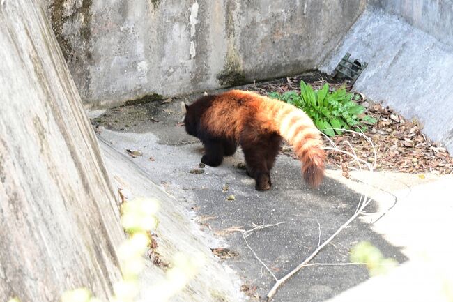 排水溝に何かを見つけたようです。