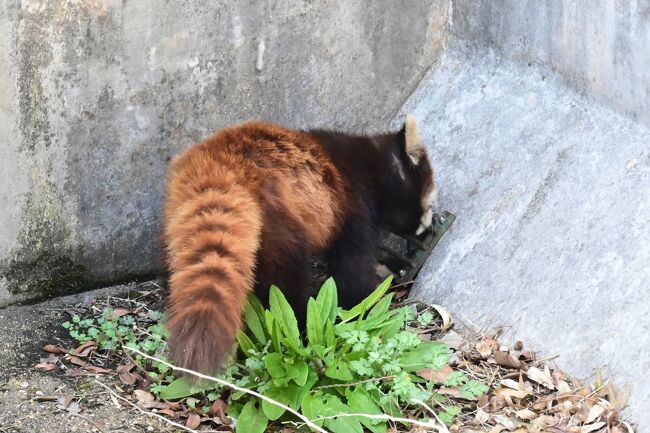 手を差し込んでいます。