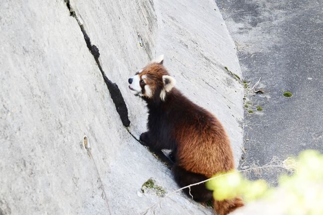 「あほくさ」収穫なしのカカ、これからどうするのか心配です。